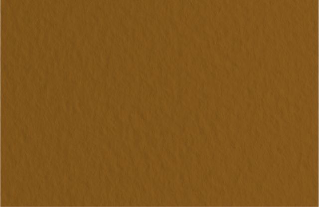 FABRIANO TIZIANO SHEETS 20X26 COFFEE