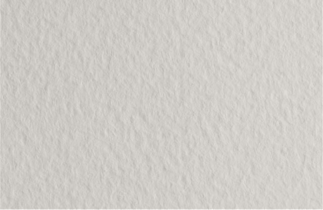FABRIANO TIZIANO SHEETS 20X26 PEARL GRAY - In Store Only