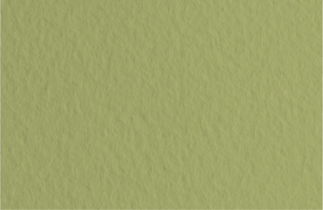 FABRIANO TIZIANO SHEETS 20X26 MOSS GREEN - In Store Only