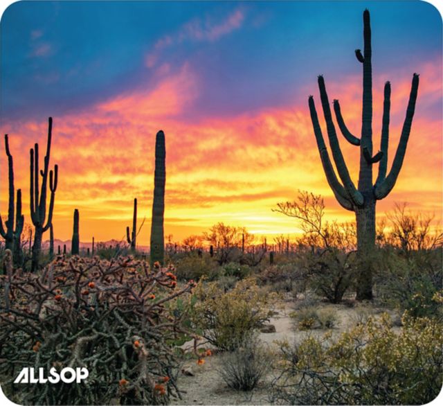 Allsop NatureSmart Mousepad Saguaro, 8x8.5x.08in