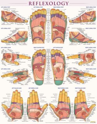 REFLEXOLOGY POSTER LAMINATED