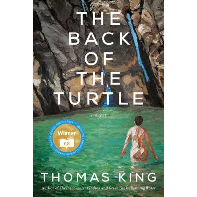 Back of the Turtle