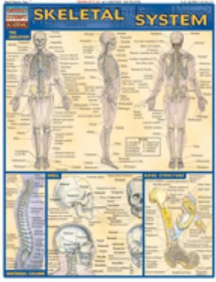 SKELETAL SYSTEM